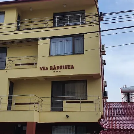 Hotel Raduinea Eforie Nord